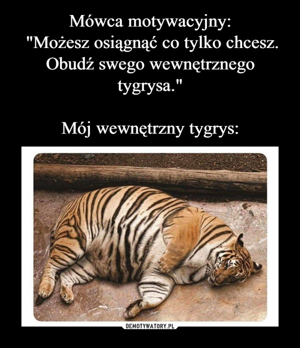  –  