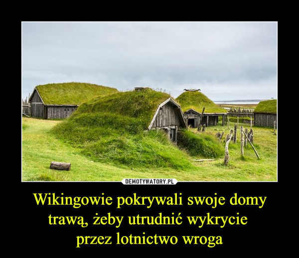 Wikingowie pokrywali swoje domy trawą, żeby utrudnić wykrycie 
przez lotnictwo wroga