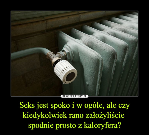 Seks jest spoko i w ogóle, ale czy kiedykolwiek rano założyliście spodnie prosto z kaloryfera? –  