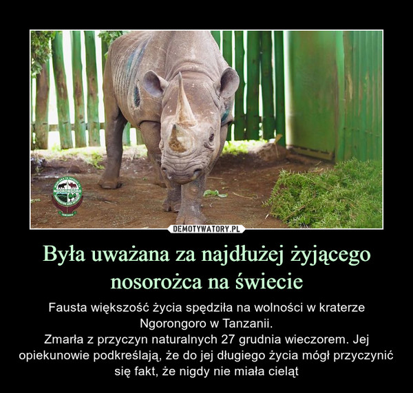 Była uważana za najdłużej żyjącego nosorożca na świecie – Fausta większość życia spędziła na wolności w kraterze Ngorongoro w Tanzanii.Zmarła z przyczyn naturalnych 27 grudnia wieczorem. Jej opiekunowie podkreślają, że do jej długiego życia mógł przyczynić się fakt, że nigdy nie miała cieląt 
