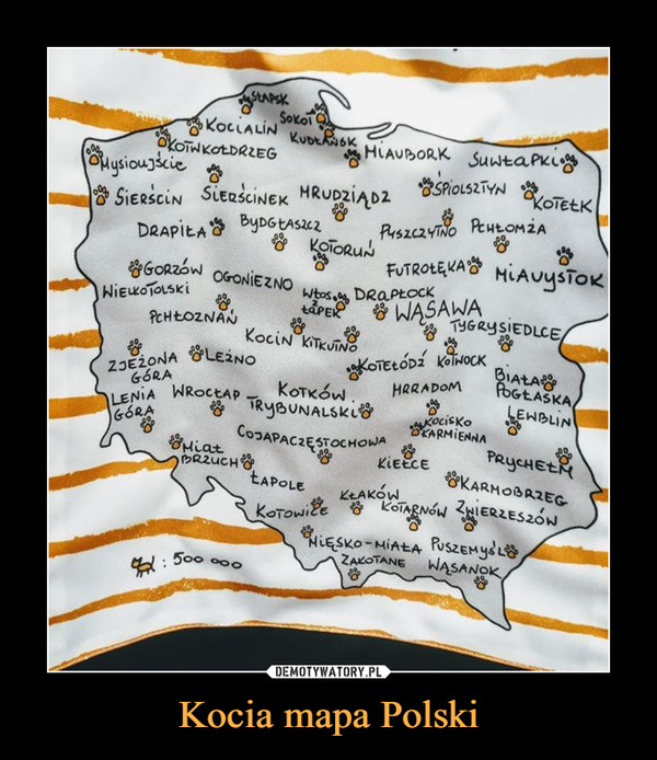 Kocia mapa Polski –  