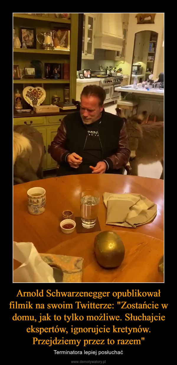 Arnold Schwarzenegger opublikował filmik na swoim Twitterze: "Zostańcie w domu, jak to tylko możliwe. Słuchajcie ekspertów, ignorujcie kretynów. Przejdziemy przez to razem" – Terminatora lepiej posłuchać 