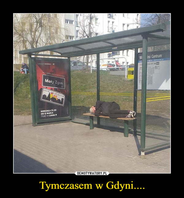 Tymczasem w Gdyni.... –  