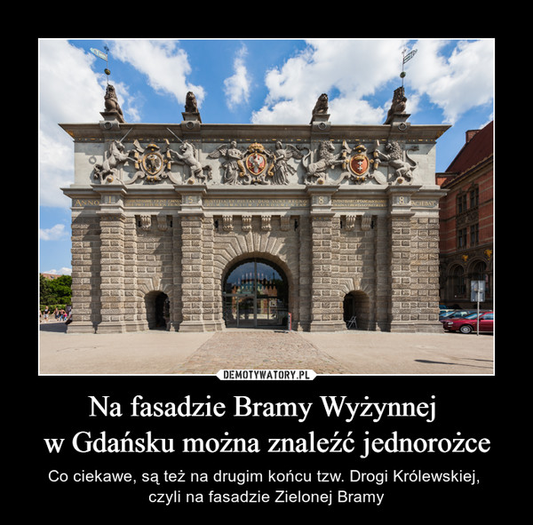 Na fasadzie Bramy Wyżynnej 
w Gdańsku można znaleźć jednorożce