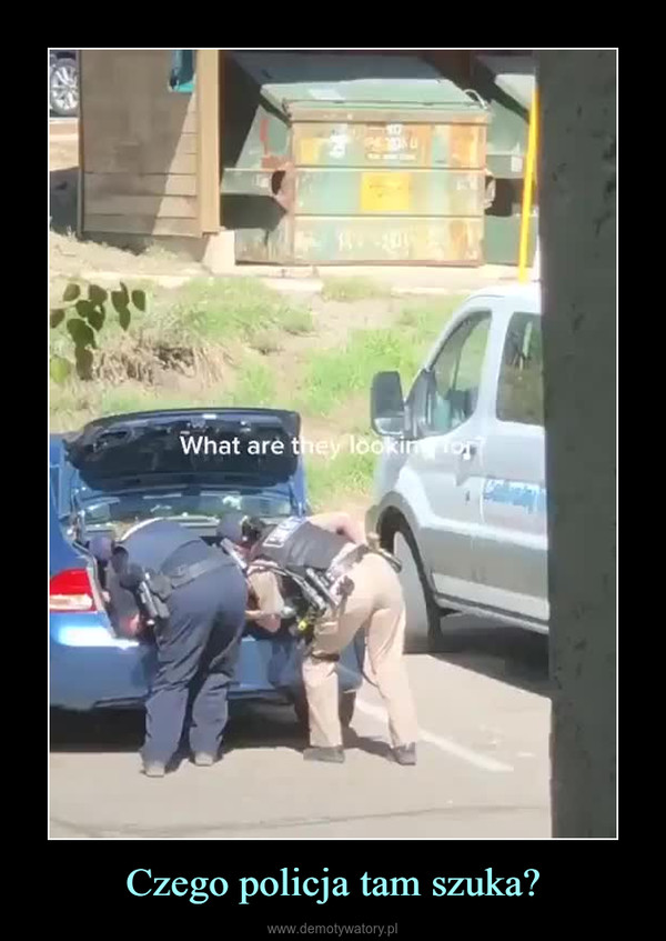 Czego policja tam szuka? –  