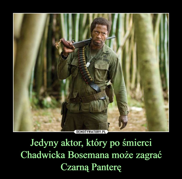 Jedyny aktor, który po śmierci Chadwicka Bosemana może zagrać Czarną Panterę –  