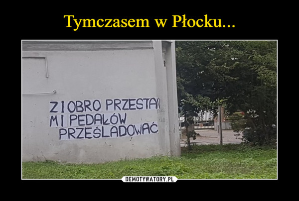 Tymczasem w Płocku...