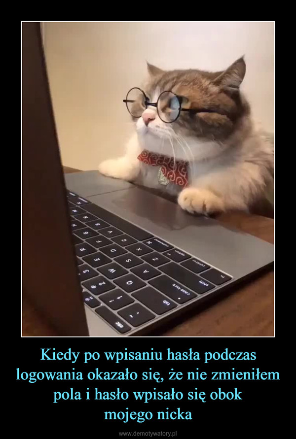 Kiedy po wpisaniu hasła podczas logowania okazało się, że nie zmieniłem pola i hasło wpisało się obokmojego nicka –  
