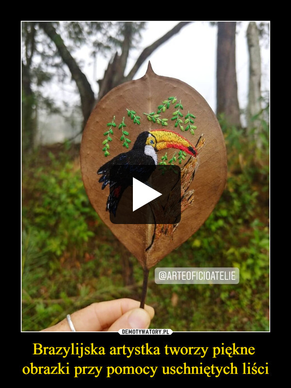 Brazylijska artystka tworzy piękne obrazki przy pomocy uschniętych liści –  