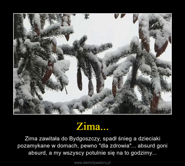 Zima... – Zima zawitała do Bydgoszczy, spadł śnieg a dzieciaki pozamykane w domach, pewno "dla zdrowia"... absurd goni absurd, a my wszyscy potulnie się na to godzimy... 