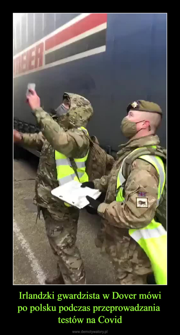 Irlandzki gwardzista w Dover mówipo polsku podczas przeprowadzania testów na Covid –  