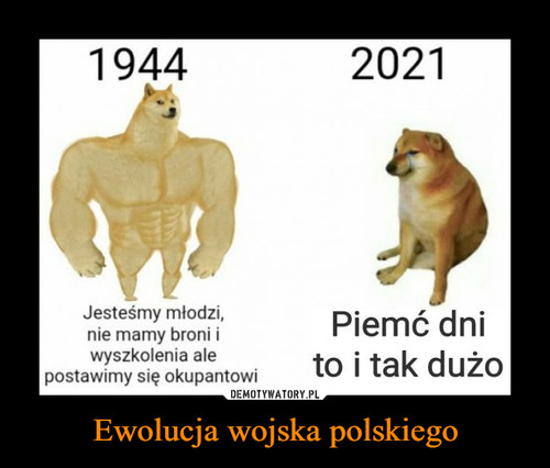 Ewolucja wojska polskiego