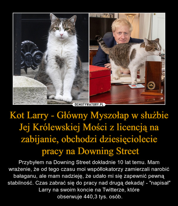 Kot Larry - Główny Myszołap w służbie Jej Królewskiej Mości z licencją na zabijanie, obchodzi dziesięciolecie pracy na Downing Street – Przybyłem na Downing Street dokładnie 10 lat temu. Mam wrażenie, że od tego czasu moi współlokatorzy zamierzali narobić bałaganu, ale mam nadzieję, że udało mi się zapewnić pewną stabilność. Czas zabrać się do pracy nad drugą dekadą! - "napisał" Larry na swoim koncie na Twitterze, które obserwuje 440,3 tys. osób. 