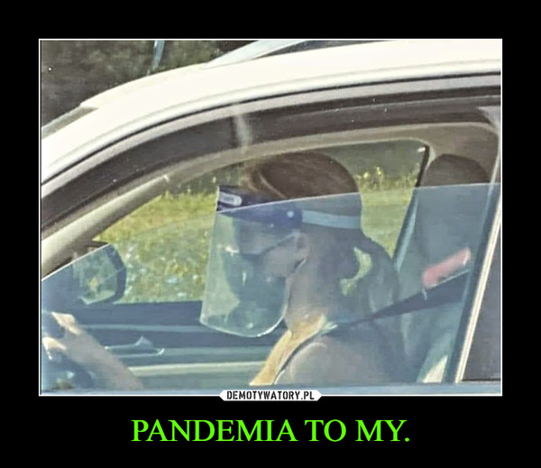 PANDEMIA TO MY. –  