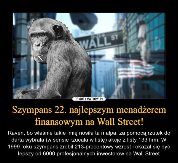 Szympans 22. najlepszym menadżerem finansowym na Wall Street!