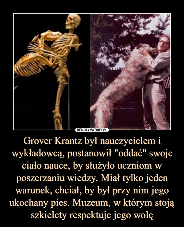 Grover Krantz był nauczycielem i wykładowcą, postanowił "oddać" swoje ciało nauce, by służyło uczniom w poszerzaniu wiedzy. Miał tylko jeden warunek, chciał, by był przy nim jego ukochany pies. Muzeum, w którym stoją szkielety respektuje jego wolę