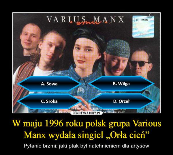 W maju 1996 roku polsk grupa Various Manx wydała singiel „Orła cień” – Pytanie brzmi: jaki ptak był natchnieniem dla artysów 