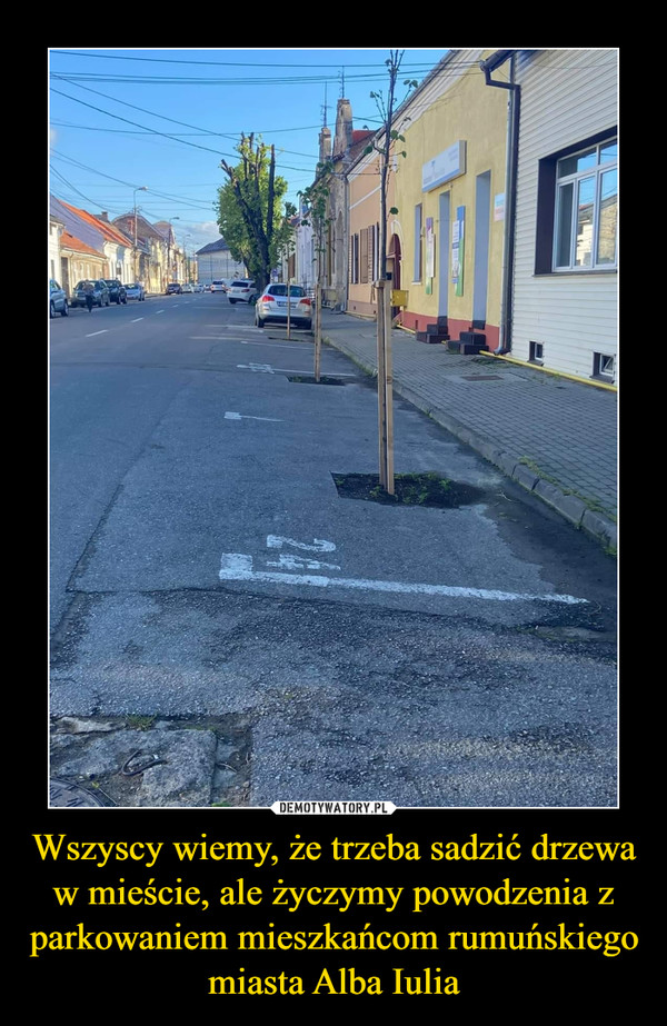 Wszyscy wiemy, że trzeba sadzić drzewa w mieście, ale życzymy powodzenia z parkowaniem mieszkańcom rumuńskiego miasta Alba Iulia –  
