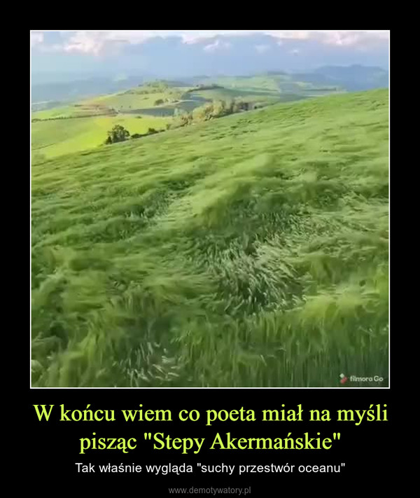 W końcu wiem co poeta miał na myśli pisząc "Stepy Akermańskie" – Tak właśnie wygląda "suchy przestwór oceanu" 