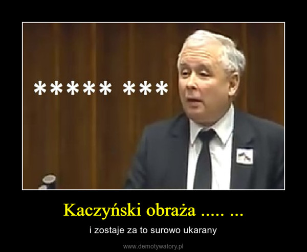Kaczyński obraża ..... ... – i zostaje za to surowo ukarany 