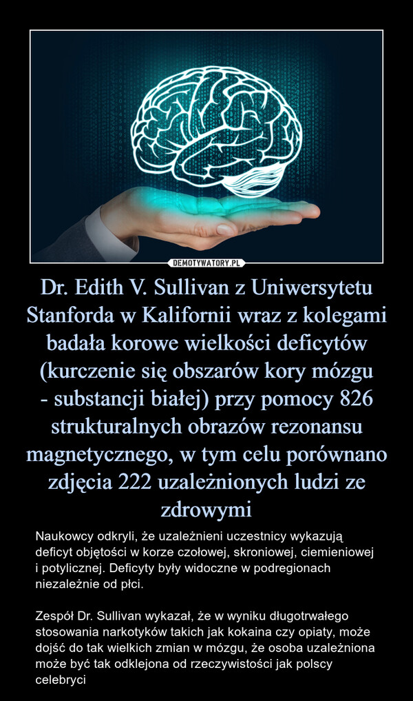 Dr. Edith V. Sullivan z Uniwersytetu Stanforda w Kalifornii wraz z kolegami badała korowe wielkości deficytów (kurczenie się obszarów kory mózgu- substancji białej) przy pomocy 826 strukturalnych obrazów rezonansu magnetycznego, w tym celu porównano zdjęcia 222 uzależnionych ludzi ze zdrowymi – Naukowcy odkryli, że uzależnieni uczestnicy wykazują deficyt objętości w korze czołowej, skroniowej, ciemieniowej i potylicznej. Deficyty były widoczne w podregionach niezależnie od płci.Zespół Dr. Sullivan wykazał, że w wyniku długotrwałego stosowania narkotyków takich jak kokaina czy opiaty, może dojść do tak wielkich zmian w mózgu, że osoba uzależniona może być tak odklejona od rzeczywistości jak polscy celebryci 