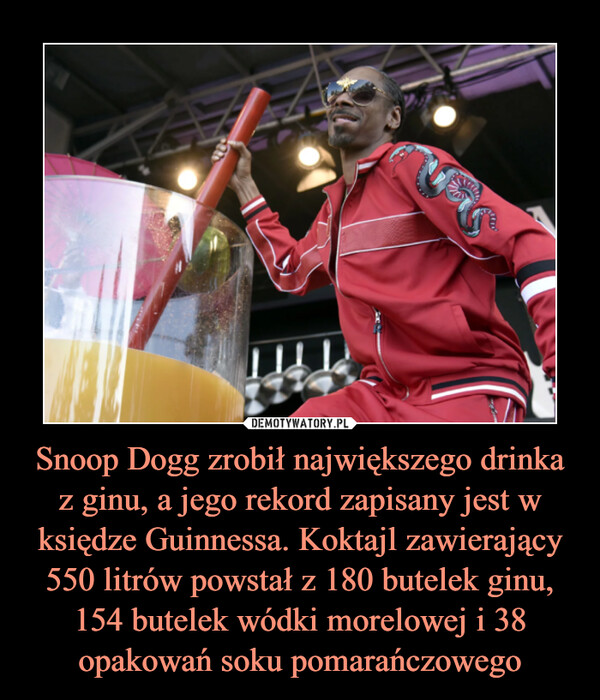 Snoop Dogg zrobił największego drinka z ginu, a jego rekord zapisany jest w księdze Guinnessa. Koktajl zawierający 550 litrów powstał z 180 butelek ginu, 154 butelek wódki morelowej i 38 opakowań soku pomarańczowego –  