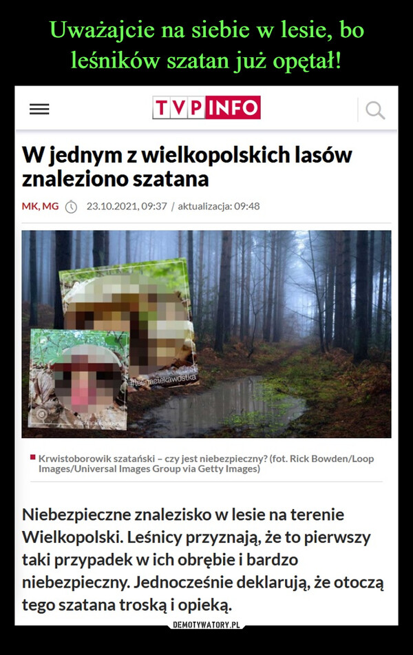  –  W jednym z wielkopolskich lasów znaleziono szatana Niebezpieczne znalezisko w lesie na terenie Wielkopolski. Leśnicy przyznają, że to pierwszy taki przypadek w ich obrębie i bardzo niebezpieczny. Jednocześnie deklarują, że otoczą tego szatana troską i opieką.