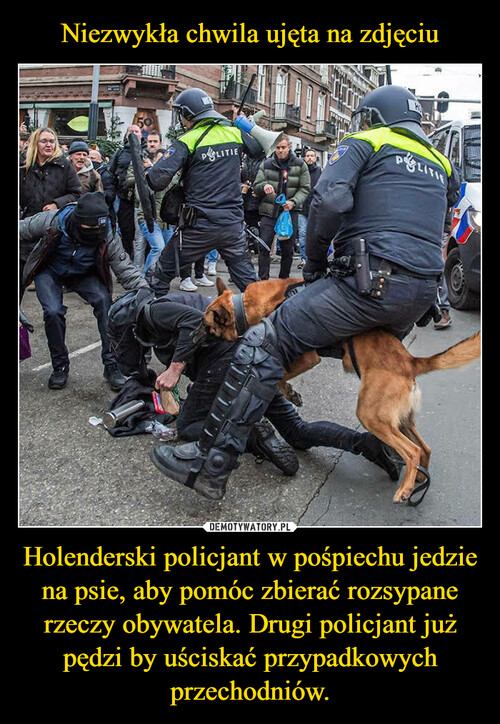 Niezwykła chwila ujęta na zdjęciu Holenderski policjant w pośpiechu jedzie na psie, aby pomóc zbierać rozsypane rzeczy obywatela. Drugi policjant już pędzi by uściskać przypadkowych przechodniów.
