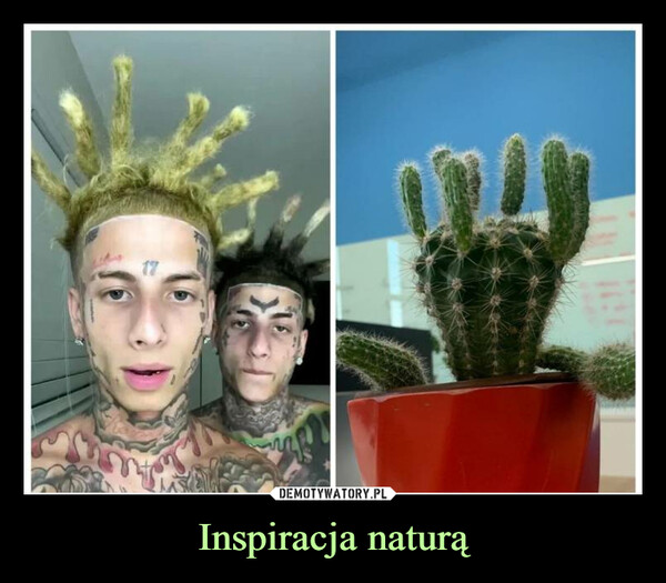 Inspiracja naturą –  