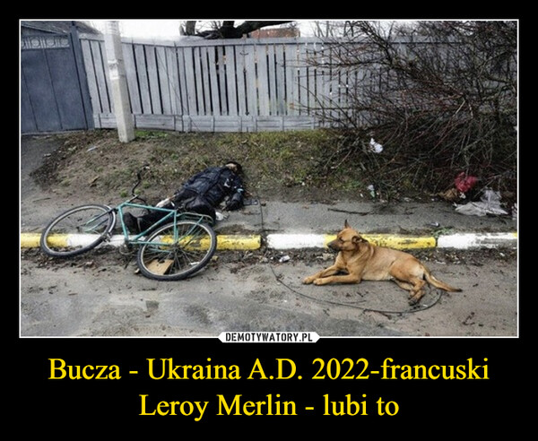 Bucza - Ukraina A.D. 2022-francuski Leroy Merlin - lubi to –  