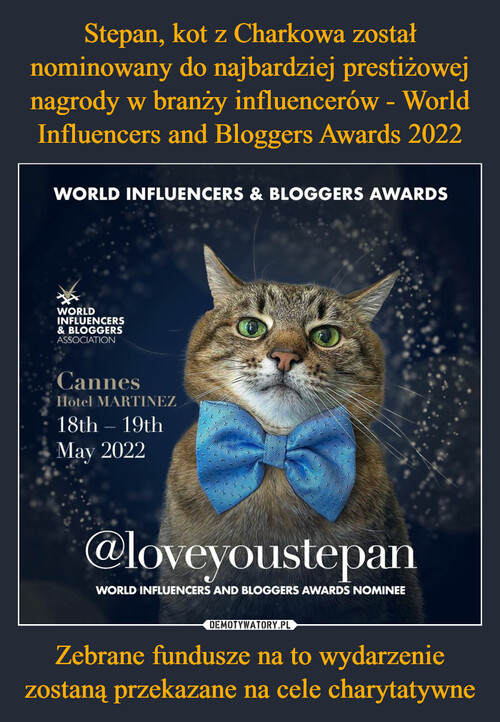 Stepan, kot z Charkowa został nominowany do najbardziej prestiżowej nagrody w branży influencerów - World Influencers and Bloggers Awards 2022 Zebrane fundusze na to wydarzenie zostaną przekazane na cele charytatywne