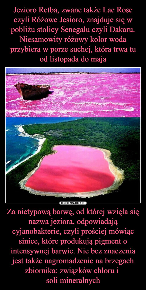 Jezioro Retba, zwane także Lac Rose czyli Różowe Jesioro, znajduje się w pobliżu stolicy Senegalu czyli Dakaru. Niesamowity różowy kolor woda przybiera w porze suchej, która trwa tu od listopada do maja Za nietypową barwę, od której wzięła się nazwa jeziora, odpowiadają cyjanobakterie, czyli prościej mówiąc sinice, które produkują pigment o intensywnej barwie. Nie bez znaczenia jest także nagromadzenie na brzegach zbiornika: związków chloru i 
soli mineralnych