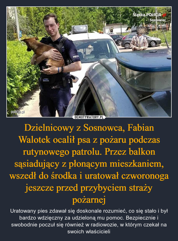 Dzielnicowy z Sosnowca, Fabian Walotek ocalił psa z pożaru podczas rutynowego patrolu. Przez balkon sąsiadujący z płonącym mieszkaniem, wszedł do środka i uratował czworonoga jeszcze przed przybyciem straży pożarnej