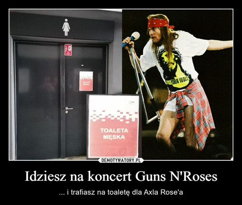 Idziesz na koncert Guns N'Roses
