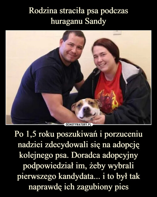 Rodzina straciła psa podczas
huraganu Sandy Po 1,5 roku poszukiwań i porzuceniu nadziei zdecydowali się na adopcję kolejnego psa. Doradca adopcyjny podpowiedział im, żeby wybrali pierwszego kandydata... i to był tak naprawdę ich zagubiony pies
