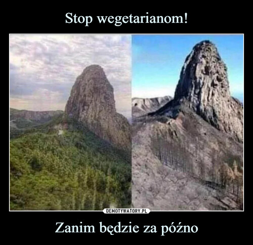 Stop wegetarianom! Zanim będzie za późno