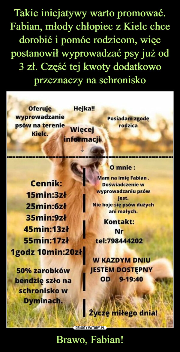 Brawo, Fabian! –  Oferuję wyprowadzanie psów na terenie Kielc