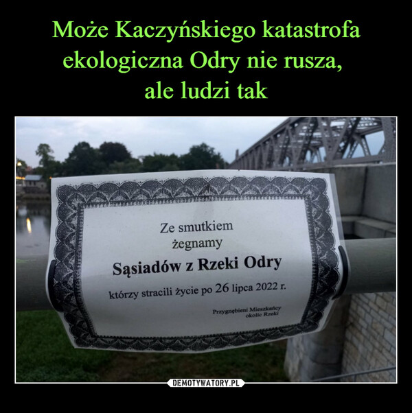 Może Kaczyńskiego katastrofa ekologiczna Odry nie rusza, 
ale ludzi tak