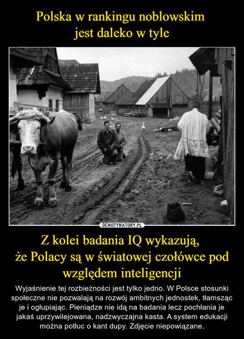 Polska w rankingu noblowskim 
jest daleko w tyle Z kolei badania IQ wykazują, 
że Polacy są w światowej czołówce pod względem inteligencji