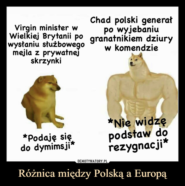 Różnica między Polską a Europą