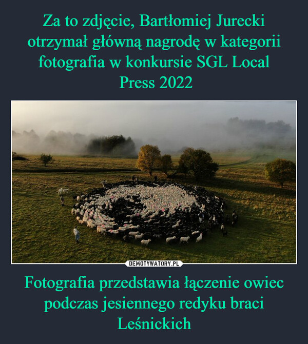 Za to zdjęcie, Bartłomiej Jurecki otrzymał główną nagrodę w kategorii fotografia w konkursie SGL Local
 Press 2022 Fotografia przedstawia łączenie owiec podczas jesiennego redyku braci Leśnickich