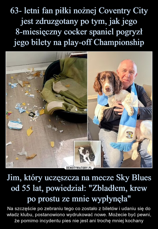 63- letni fan piłki nożnej Coventry City jest zdruzgotany po tym, jak jego 8-miesięczny cocker spaniel pogryzł
jego bilety na play-off Championship Jim, który uczęszcza na mecze Sky Blues od 55 lat, powiedział: "Zbladłem, krew po prostu ze mnie wypłynęła"