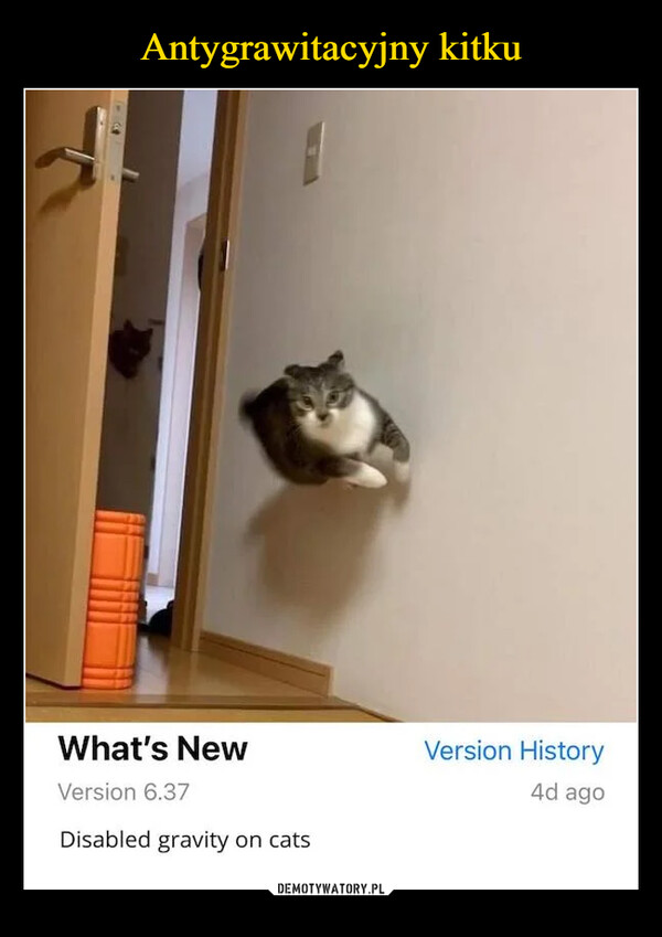  –  2BWhat's NewVersion 6.37Disabled gravity on catsVersion History4d ago