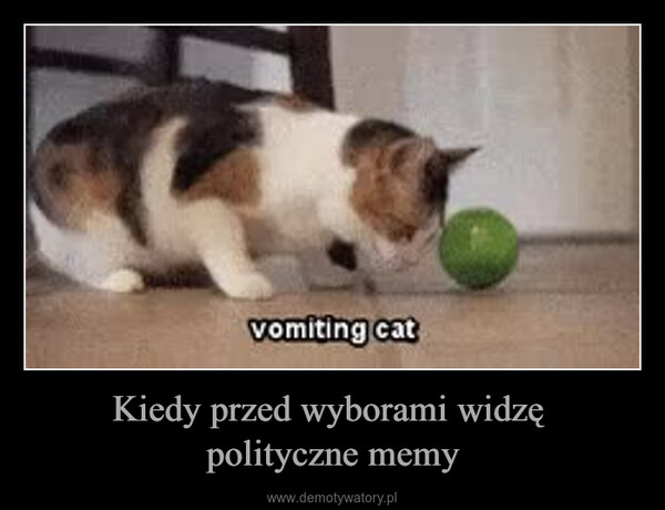 Kiedy przed wyborami widzę polityczne memy –  vomiting cat
