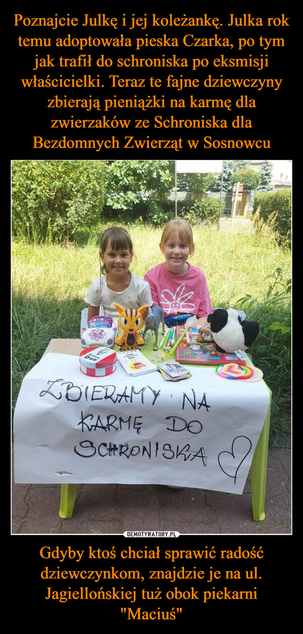 Gdyby ktoś chciał sprawić radość dziewczynkom, znajdzie je na ul. Jagiellońskiej tuż obok piekarni "Maciuś" –  ContacDuoSalSipenZBIERAMY NAKARMEE DOSCHRONISKA