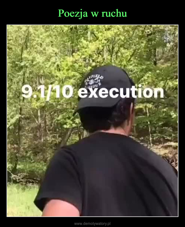 –  9.1/10 execution