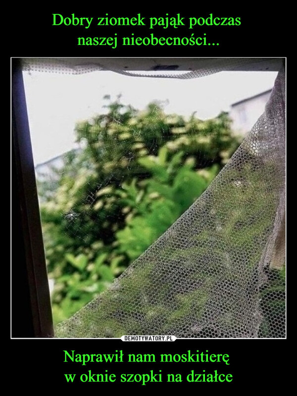 Naprawił nam moskitierę w oknie szopki na działce –  