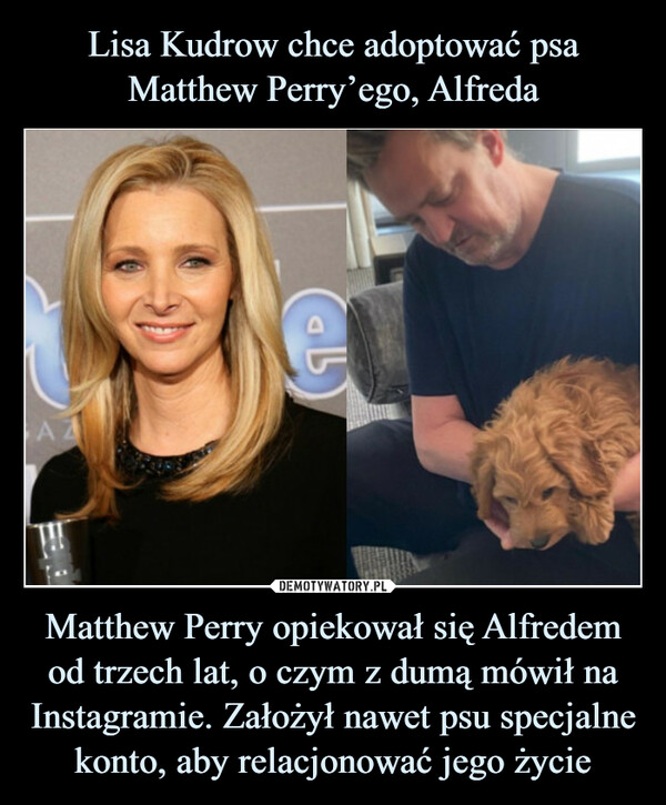 Matthew Perry opiekował się Alfredem od trzech lat, o czym z dumą mówił na Instagramie. Założył nawet psu specjalne konto, aby relacjonować jego życie –  ΒΑΔΙ