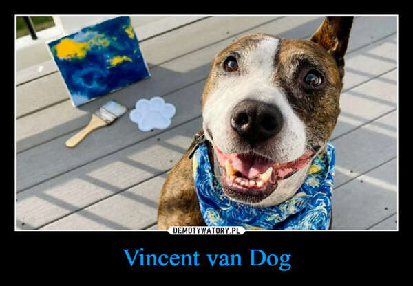 Vincent van Dog –  