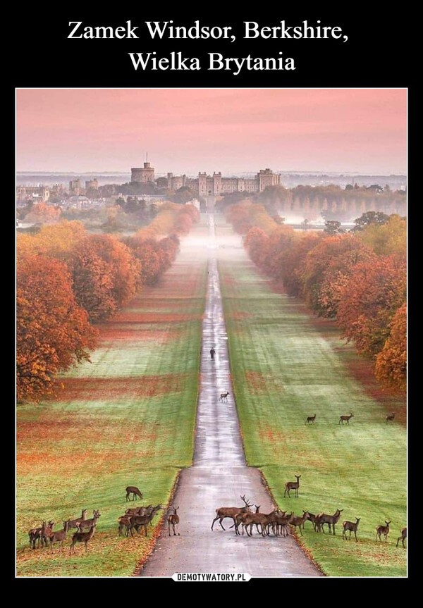 Zamek Windsor, Berkshire, 
Wielka Brytania